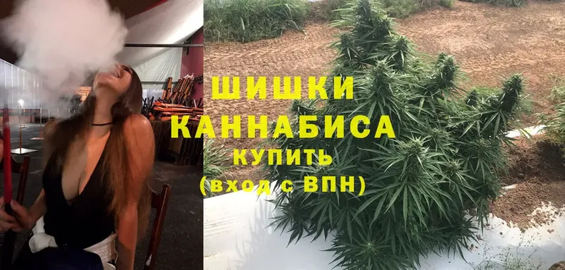 как найти   Волгореченск  Конопля Ganja 